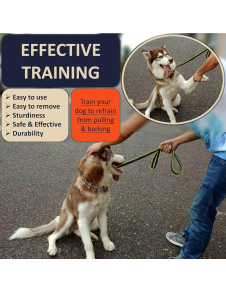 Collar de Entrenamiento DEYACE Ajustable Acero Inoxidable Negro S Collar de Entrenamiento DEYACE Ajustable Acero Inoxidable Negro S