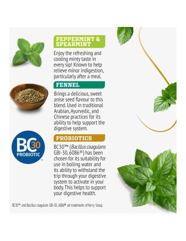 Té de hierbas Twinings Menta y Hinojo con Probioticos 96 bolsitas