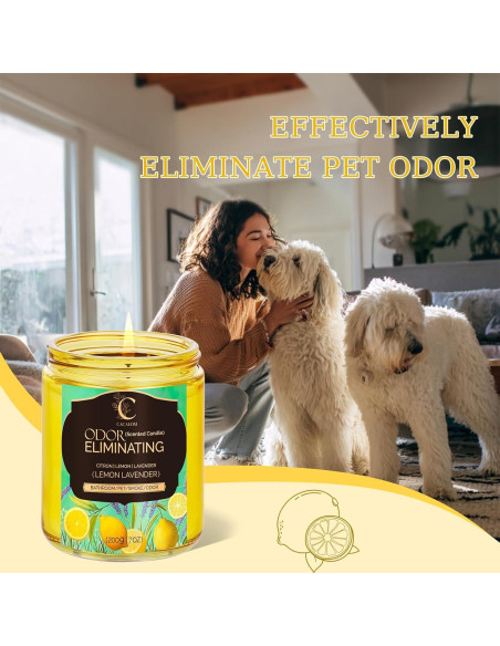 Vela Aromática Eliminadora de Olores C CACALOM 1 Cuenta Limón-Lavanda Vela Aromática Eliminadora de Olores C CACALOM 1 Cuenta Limón-Lavanda