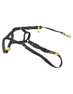 Arnés Antitirones Coastal Pet - Collar de Entrenamiento Negro M