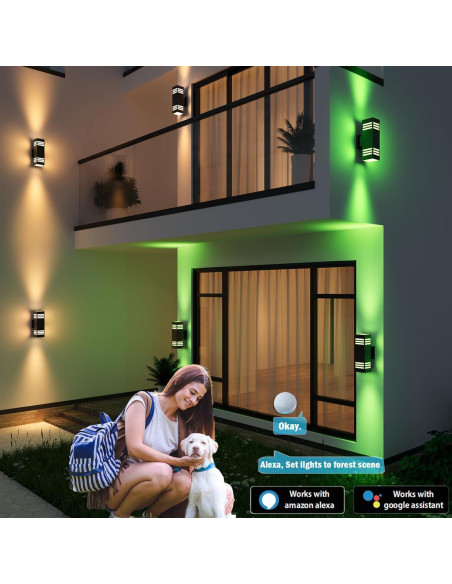 Luces de Sconce Exterior Inteligente Rosykite RGB 33cm 2 Pzas Luces de Sconce Exterior Inteligente Rosykite RGB 33cm 2 Pzas