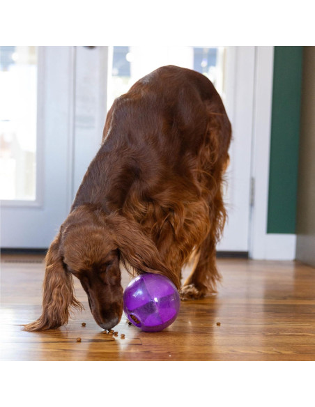 Juguete Interactivo para Perros Outward Hound Mazee 12.7cm Juguete Interactivo para Perros Outward Hound Mazee 12.7cm