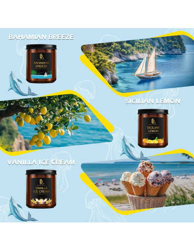 Juego de 6 Velas Aromáticas de Soja DL DREAMY DEWLA 1190g
