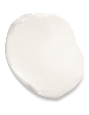 Crema Hidratante Diurna L'Oreal Paris Age Perfect 70 g SPF30