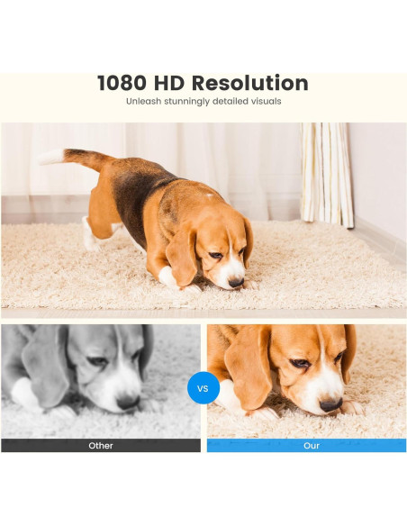 Dispensador de golosinas para mascotas Gardner Pet Smart con cámara HD 1080P Dispensador de golosinas para mascotas Gardner Pet Smart con cámara HD 1080P