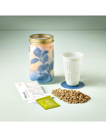 Kit de Cultivo Hidropónico Modern Sprout - Tarro de Jardín Menta Kit de Cultivo Hidropónico Modern Sprout - Tarro de Jardín Menta