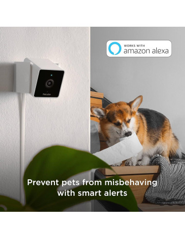 Cámara de Seguridad Petcube Cam Interior HD 1080p Wi-Fi