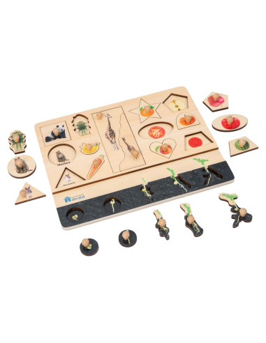 Rompecabezas de Madera Adena Montessori 24 Formas Colores 6-12 Meses