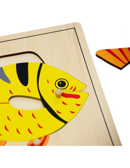 Rompecabezas de Pescado Montessori Elite 24x24 cm para Niños Rompecabezas de Pescado Montessori Elite 24x24 cm para Niños