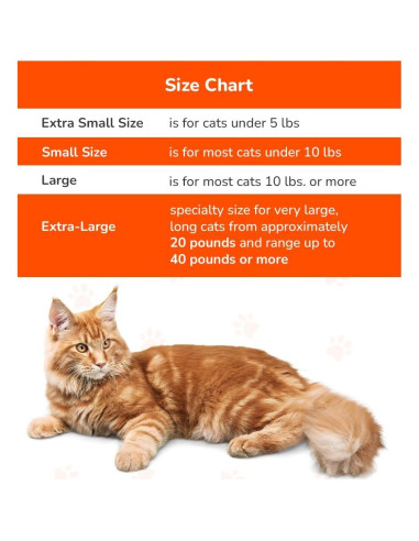 Transportín Grande para Gatos Cat-in-the-bag Azul Claro