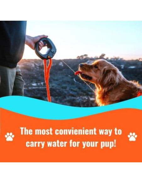 Botella de Agua para Perros Spleash Naranja 354 ml Abatible Botella de Agua para Perros Spleash Naranja 354 ml Abatible