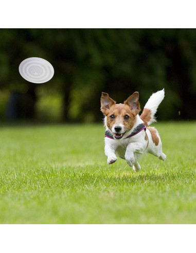 Cuenco Plegable para Perros SLSON Pequeño con Tapa