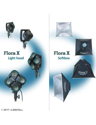 Kit de Luz de Estudio LINCO Flora X LED 1240 con Softbox 50.8 cm