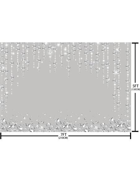 Fondo Fotográfico SENDY 2.1x1.5m Plateado Brillante