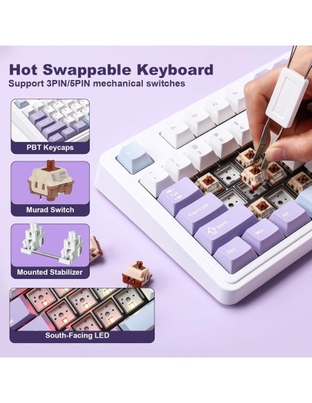 Teclado Mecánico AJAZZ AK980 Inalámbrico RGB 98% Púrpura Teclado Mecánico AJAZZ AK980 Inalámbrico RGB 98% Púrpura