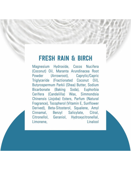 Desodorante Vegano Schmidt's Lluvia Fresca 75 g Sin Aluminio Desodorante Vegano Schmidt's Lluvia Fresca 75 g Sin Aluminio