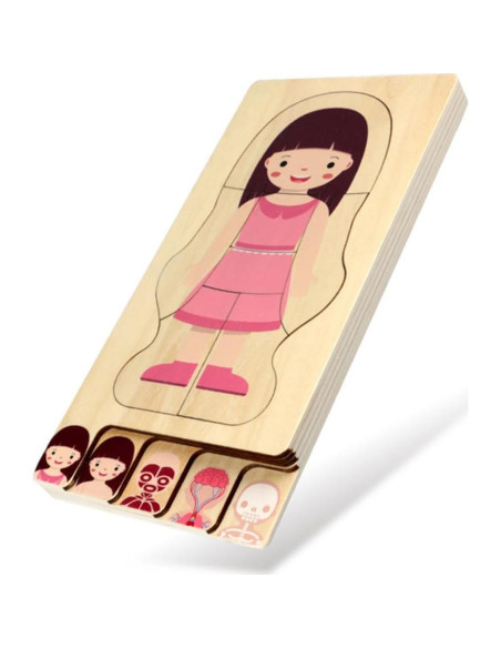 Rompecabezas Educativo de Madera BESPORTBLE Anatomía Humana 30x14 cm Rompecabezas Educativo de Madera BESPORTBLE Anatomía Humana 30x14 cm