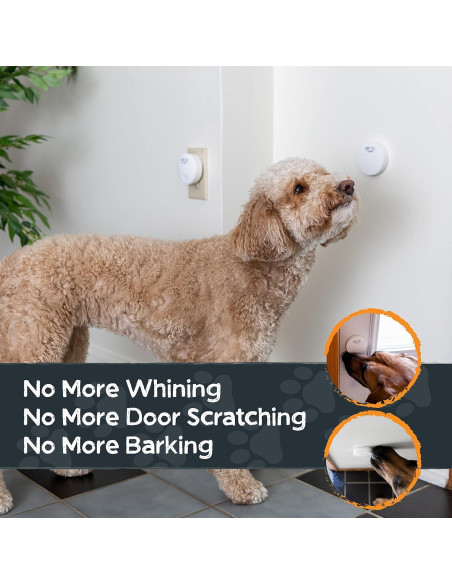 Timbre Inteligente Mighty Paw 2.0 para Perros - Entrenamiento Rápido Timbre Inteligente Mighty Paw 2.0 para Perros - Entrenamiento Rápido