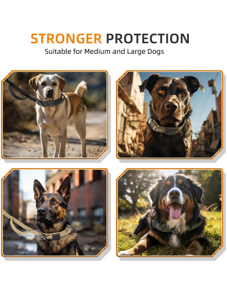 Collar para Perros Furrigo L, 100% Impermeable, Ajustable Collar para Perros Furrigo L, 100% Impermeable, Ajustable