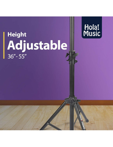 Soporte de Proyector Profesional Hola! Music HPS-290B Negro
