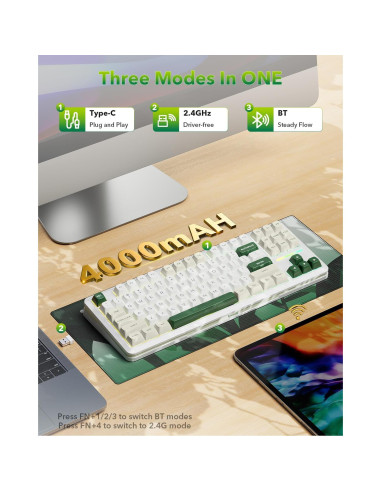 Teclado Mecánico Inalámbrico Redragon K734W, 81 Teclas TKL RGB