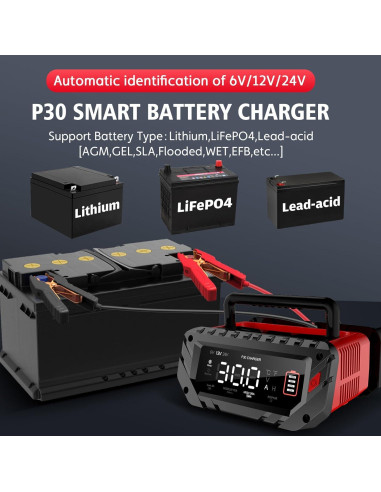 Cargador Inteligente de Batería 6V/12V/24V YHCHKJ 30A