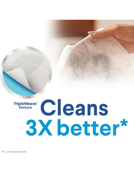 Paquete de Toallitas Desinfectantes Clorox 75 Unidades + Kit ToiletWand Paquete de Toallitas Desinfectantes Clorox 75 Unidades + Kit ToiletWand