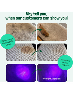 Limpiador de Alfombras Sunny & Honey 32 Oz Menta Primaveral 2