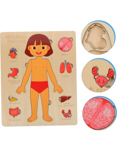Rompecabezas de Anatomía Humana HEMOTON para Niños 22.4x17.8cm