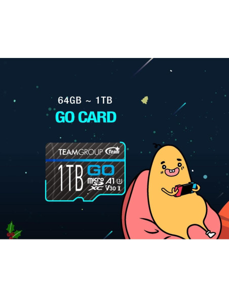 TEAMGROUP GO 256GB Micro SDXC UHS-I U3 V30 para 4K TEAMGROUP GO 256GB Micro SDXC UHS-I U3 V30 para 4K