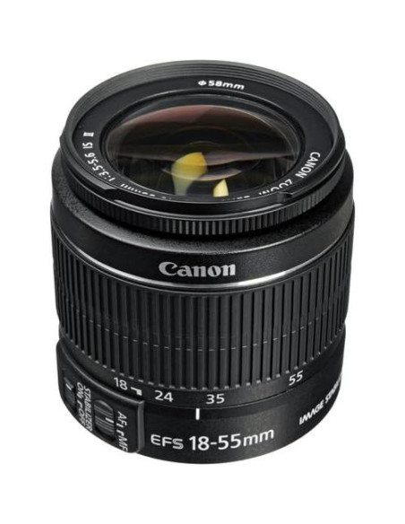 Cámara DSLR Canon EOS Rebel T7 + Lentes 18-55mm y 75-300mm Cámara DSLR Canon EOS Rebel T7 + Lentes 18-55mm y 75-300mm