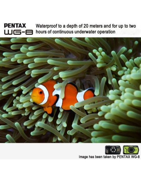 Cámara de Aventura PENTAX WG-8 Negra 20MP 4K Resistente Agua Cámara de Aventura PENTAX WG-8 Negra 20MP 4K Resistente Agua