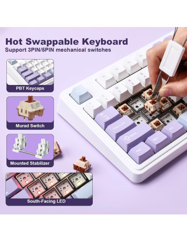 Teclado Mecánico AJAZZ AK980 Inalámbrico RGB 98% Púrpura