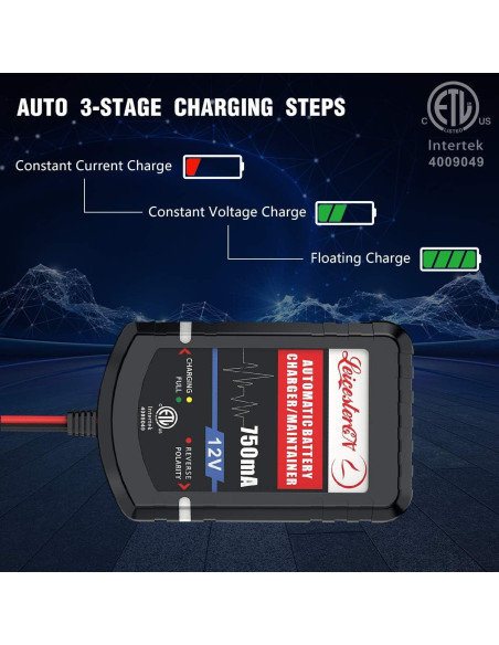 Cargador de Batería LEICESTERCN 12V 750mA 4 Piezas Cargador de Batería LEICESTERCN 12V 750mA 4 Piezas