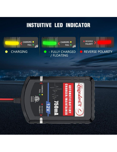 Cargador de Batería LEICESTERCN 12V 750mA 4 Piezas