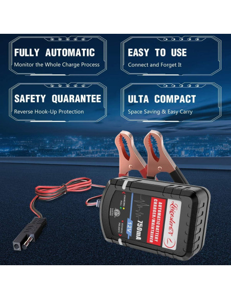 Cargador de Batería LEICESTERCN 12V 750mA 4 Piezas Cargador de Batería LEICESTERCN 12V 750mA 4 Piezas