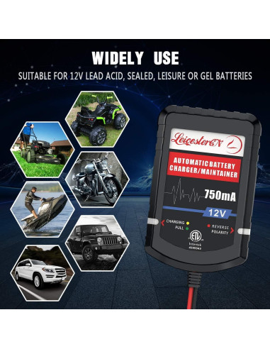 Cargador de Batería LEICESTERCN 12V 750mA 4 Piezas