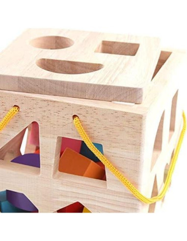 Cubo Clasificador de Formas QZMTOY - Juguete de Madera 19 Piezas