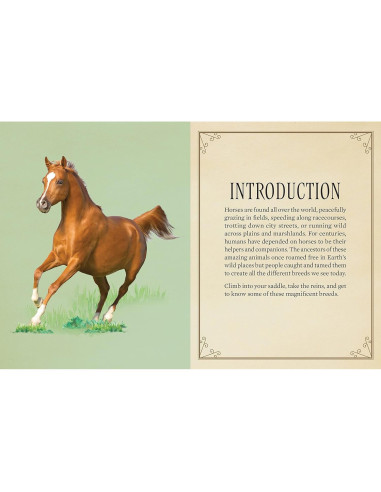 Rompecabezas Caballos Magníficos 500 Piezas 50.8x35.6 cm
