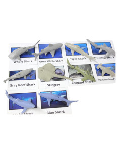 Tarjetas de Emparejamiento de Tiburones Montessori Curious Minds