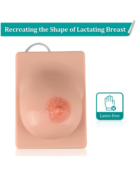Modelo de Lactancia Izquierdo MedEduQuest Silicona 21.96x16.99cm Modelo de Lactancia Izquierdo MedEduQuest Silicona 21.96x16.99cm
