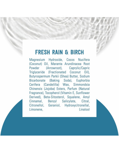 Desodorante Vegano Schmidt's Lluvia Fresca 75 g Sin Aluminio