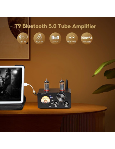 Amplificador Estéreo AIYIMA T9 100W 2 Canales Bluetooth DAC