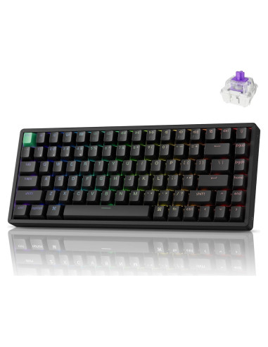 Teclado Mecánico Inalámbrico Keychron K2 HE RGB 75%