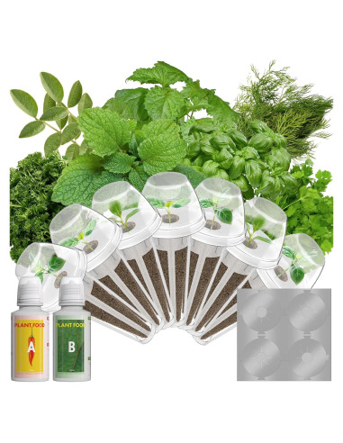 Kit de Vasos de Semillas de Hierbas Gourmet LYKOCLEAN 7 Unidades