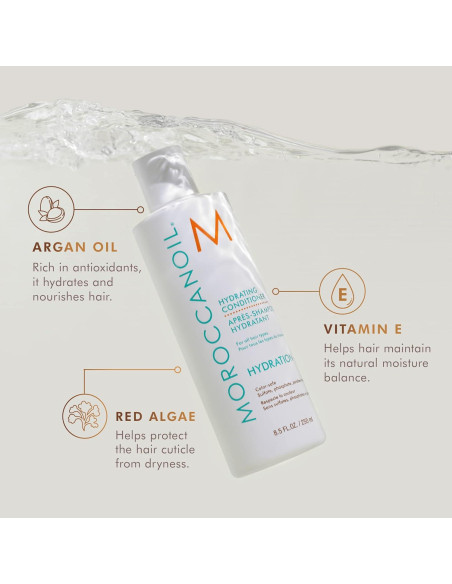 Acondicionador Hidratante Moroccanoil 250 ml - Cuidado Capilar Acondicionador Hidratante Moroccanoil 250 ml - Cuidado Capilar