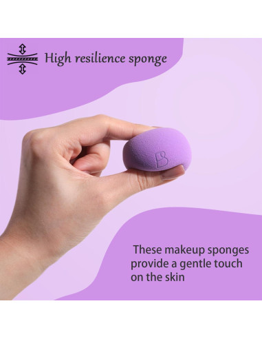 Conjunto de Esponjas de Maquillaje BS-MALL Pro V3.0 6 Pcs