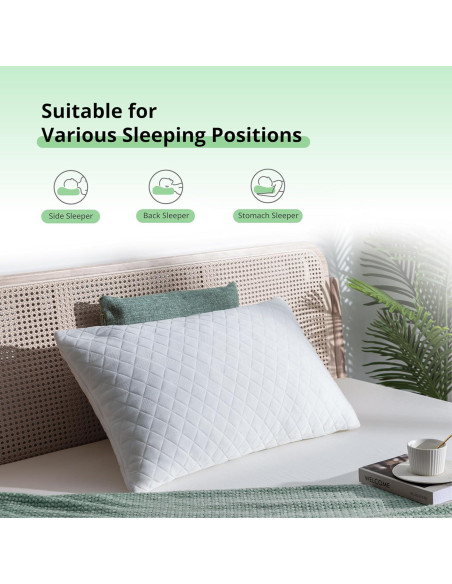 Almohada Ajustable EGOHOME Queen Espuma Viscoelástica Desmenuzada Almohada Ajustable EGOHOME Queen Espuma Viscoelástica Desmenuzada