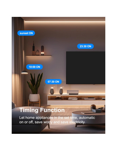 Enchufe Inteligente Wooaismart ET01 WiFi 2.4G Control por Voz