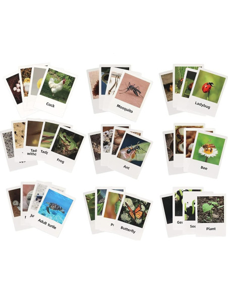 Juego de Emparejamiento de Animales Montessori YiYeraio 12 Piezas Juego de Emparejamiento de Animales Montessori YiYeraio 12 Piezas